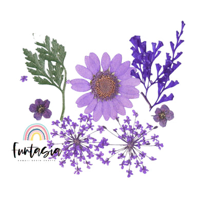 Small Purple Pressed Dry Flowers