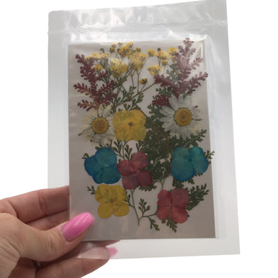 Large Pressed Dry Flowers, Dried Flat Flower Packs, Pressed Flowers For Resin Crafts - 2882